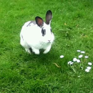 Meet your Posher, Lilly